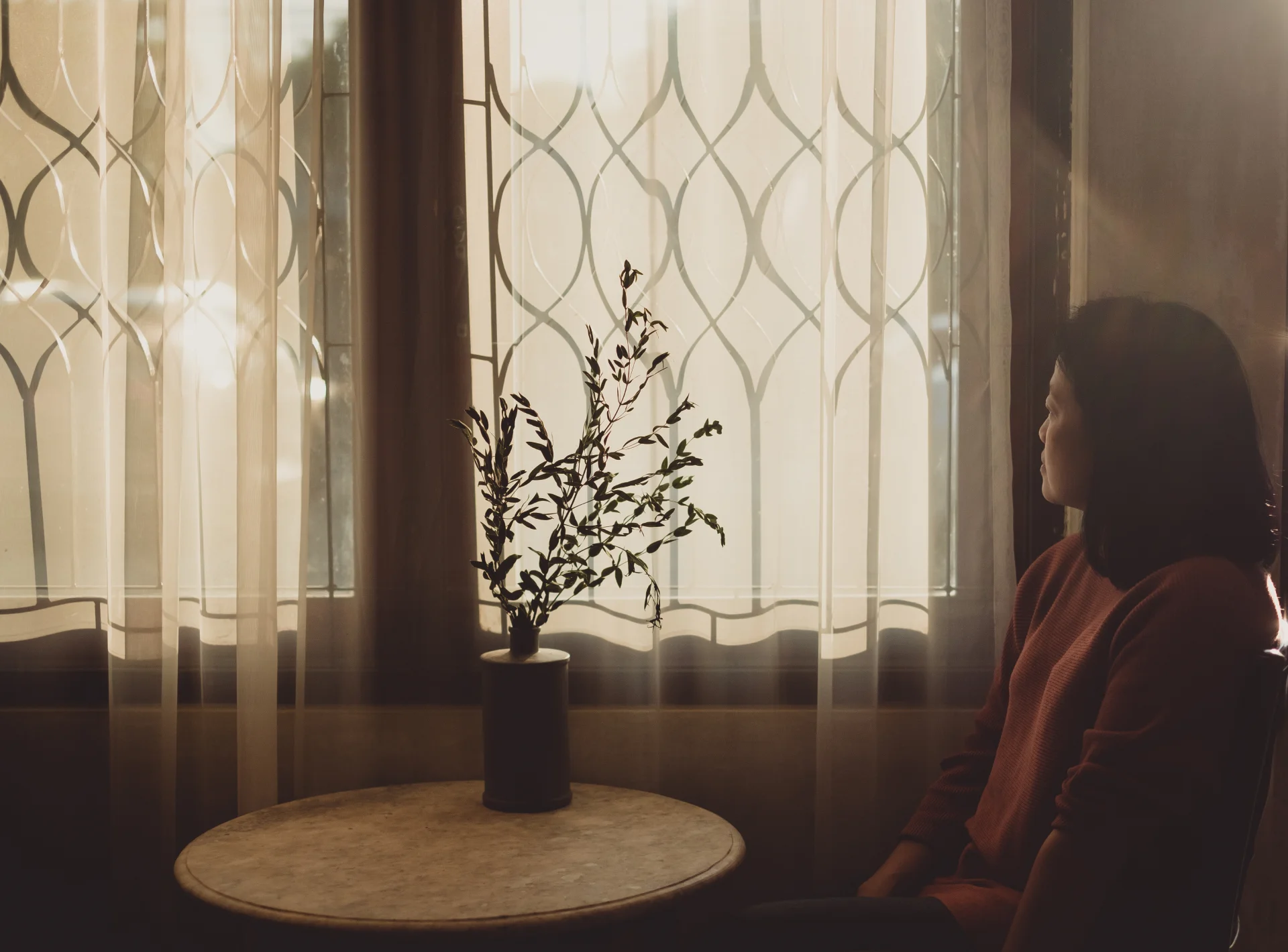 Person sitting by a window with sheer curtains and a small potted plant on a table, reflecting on the importance of support and compassion in addiction intervention.